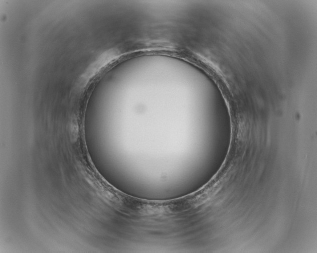X0000089401407200706151215