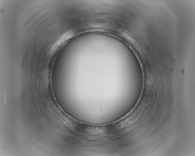 X0000089401411200706151215