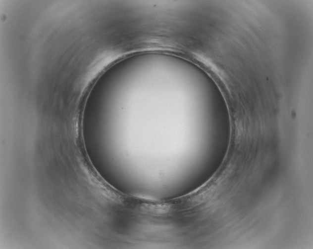X0000089401415200706151215