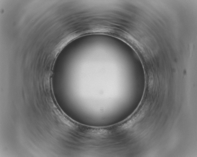 X0000089401417200706151215