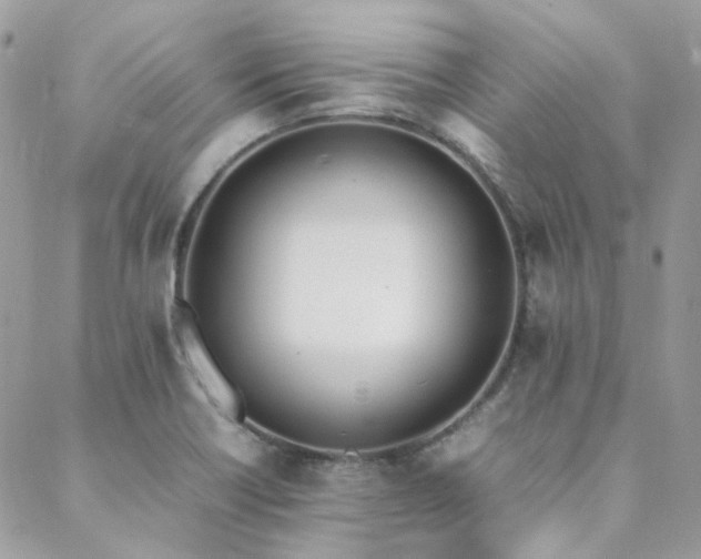 X0000089401418200706151215