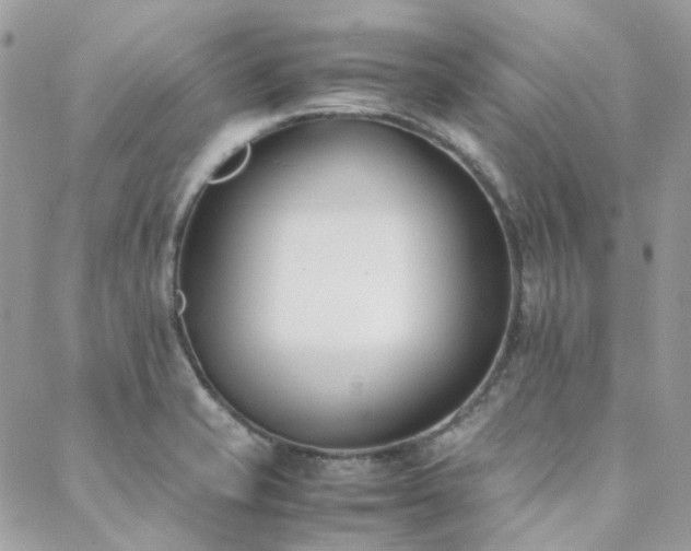 X0000089401421200706151215