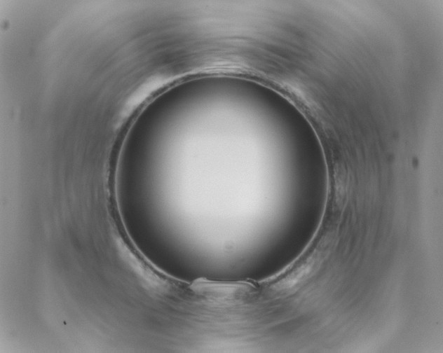 X0000089401422200706151215