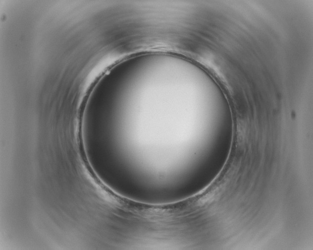 X0000089401424200706151215