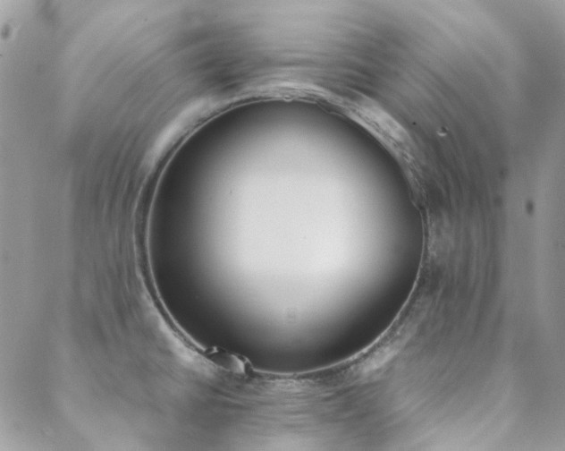 X0000089401430200706151215