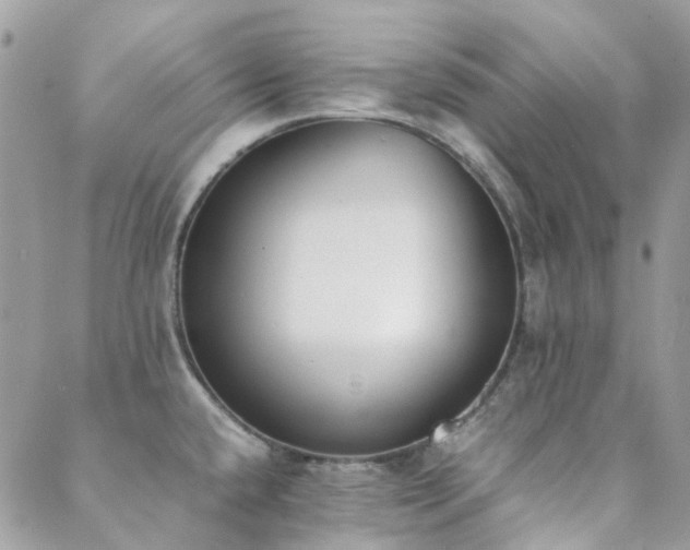 X0000089401432200706151215