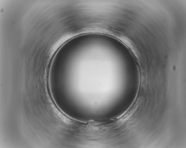 X0000089401438200706151216