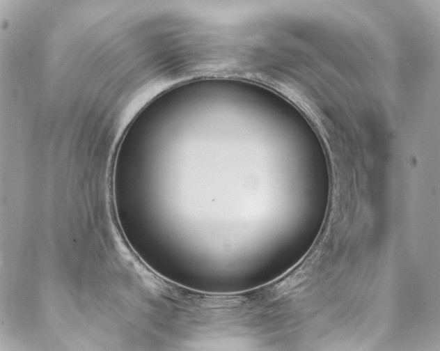 X0000089401440200706151216