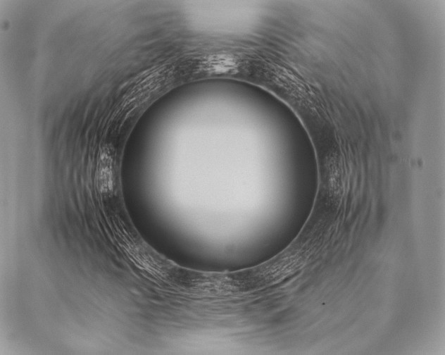 X0000089401442200706151215