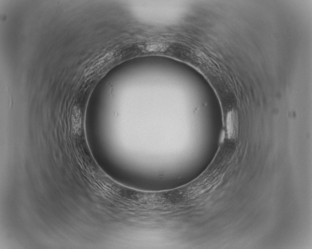 X0000089401443200706151215