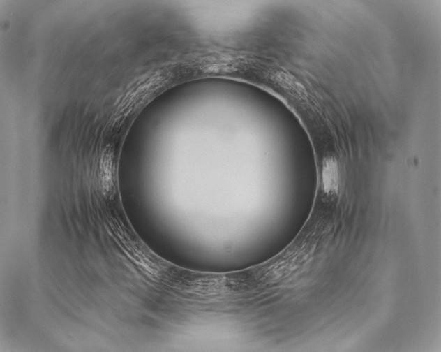 X0000089401444200706151215