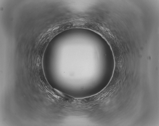 X0000089401445200706151215
