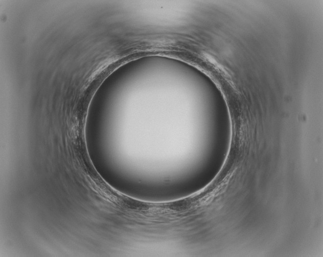 X0000089401449200706151215