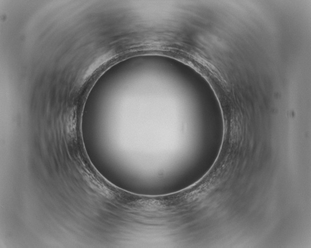 X0000089401450200706151215