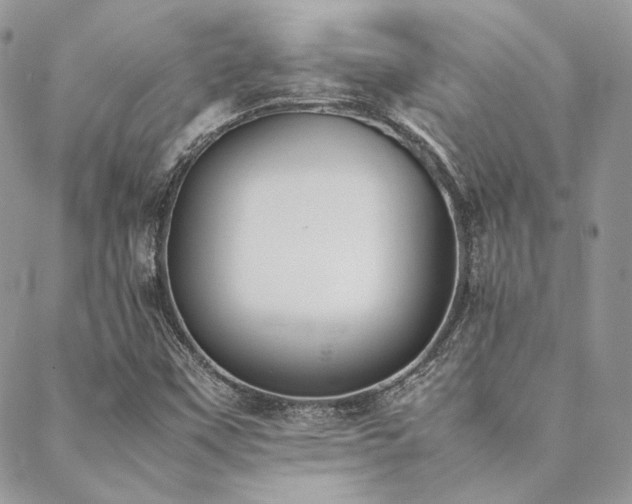 X0000089401451200706151215