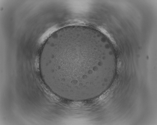 X0000089401455200706151215