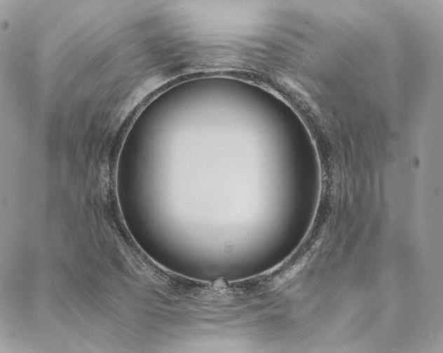 X0000089401457200706151215