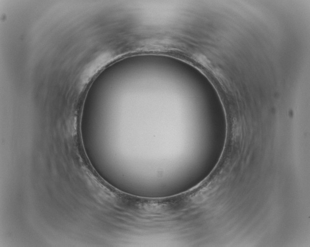 X0000089401459200706151215