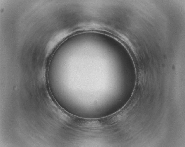 X0000089401464200706151214