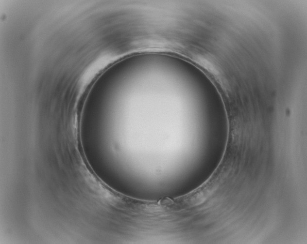 X0000089401472200706151214