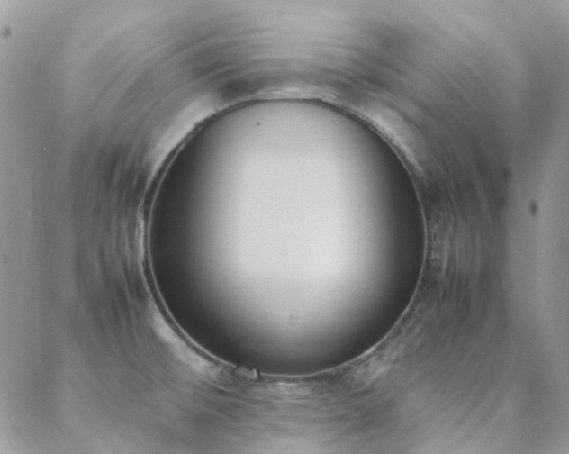 X0000089401476200706151214