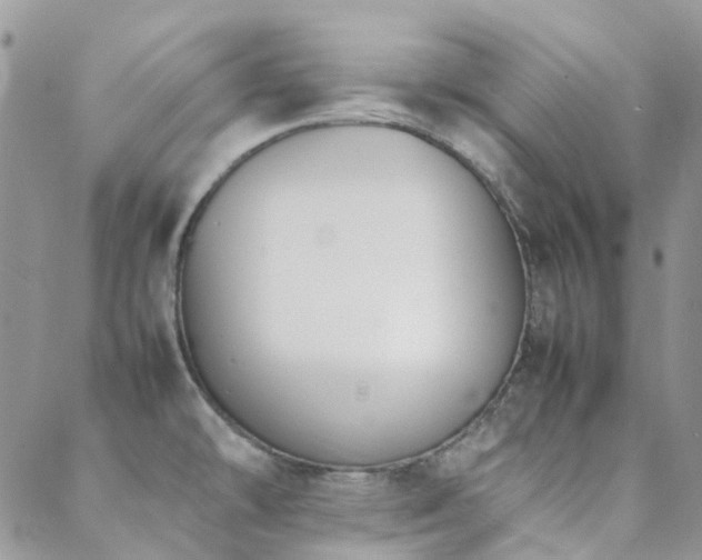 X0000089401478200706151214
