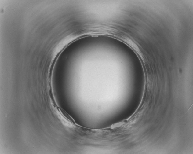 X0000089401485200706151214