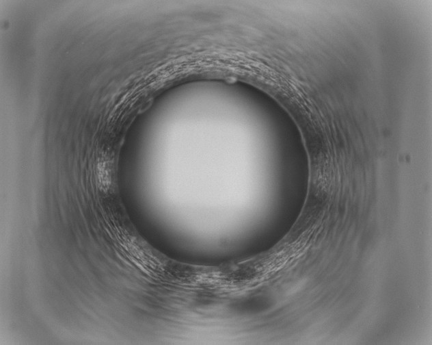 X0000089401490200706151213
