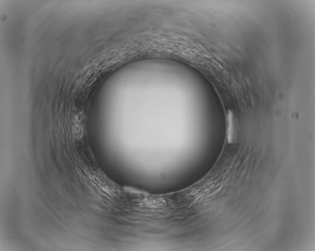 X0000089401491200706151213