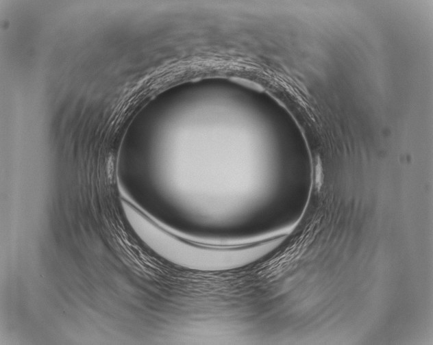 X0000089401492200706151213