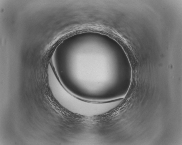 X0000089401496200706151213