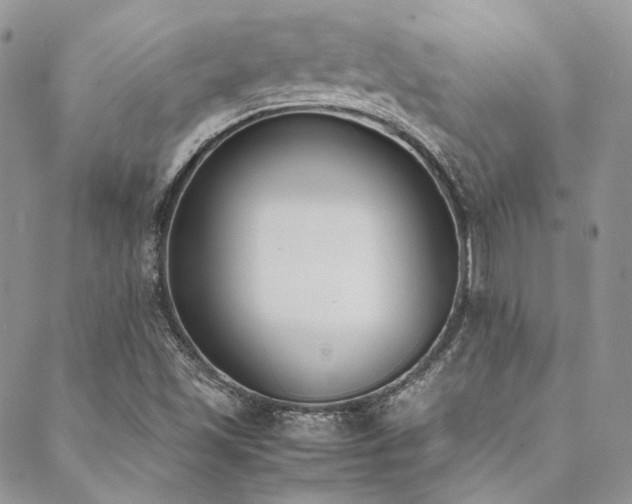 X0000089401501200706151213