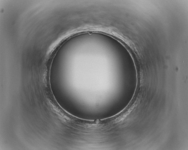 X0000089401502200706151213