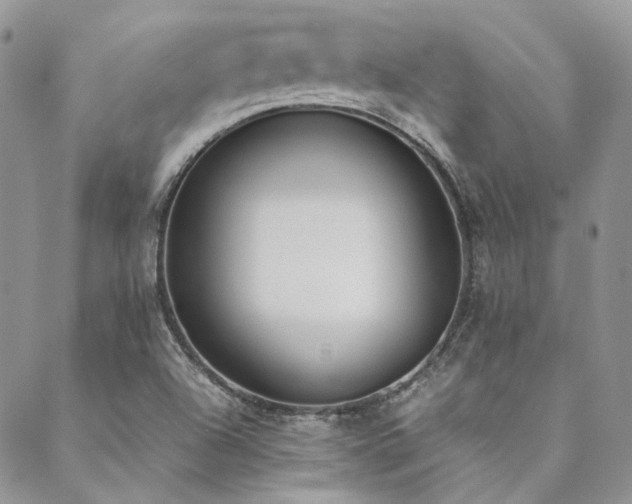 X0000089401504200706151213