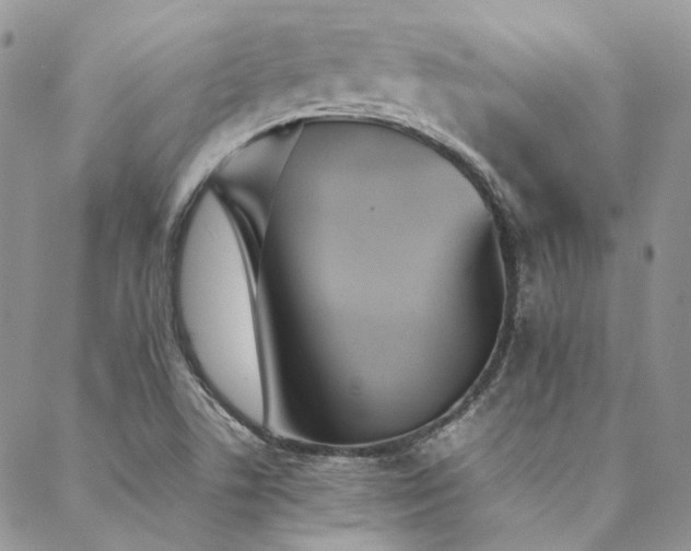 X0000089401506200706151214
