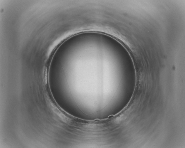 X0000089401510200706151214