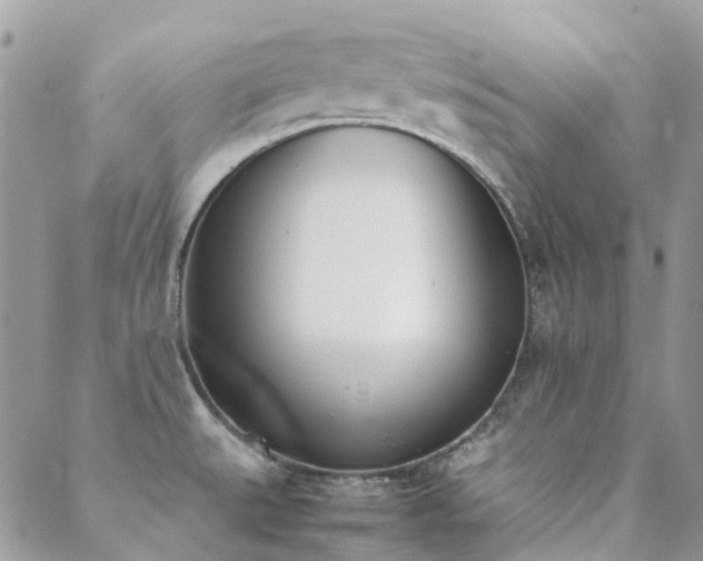 X0000089401527200706151214