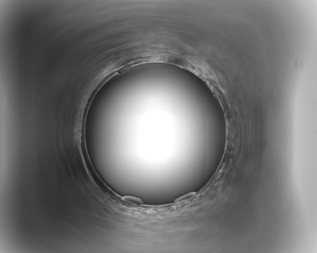 X0000089400003200706221126