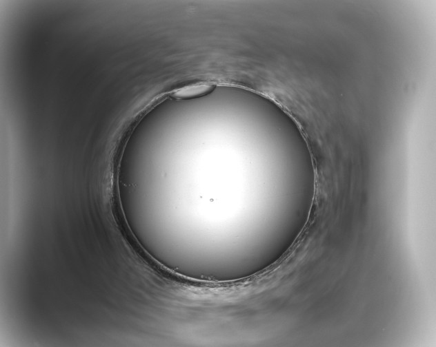 X0000089400005200706221126