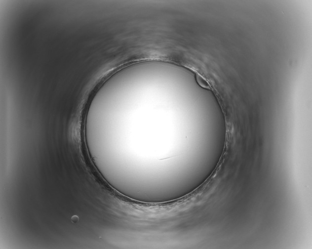 X0000089400006200706221126