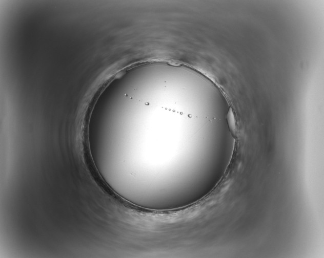 X0000089400007200706221126