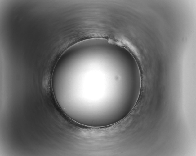 X0000089400009200706221125