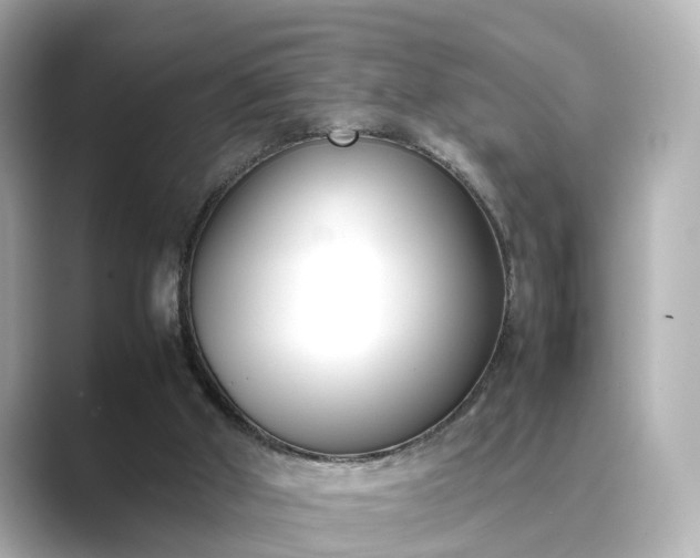 X0000089400010200706221125