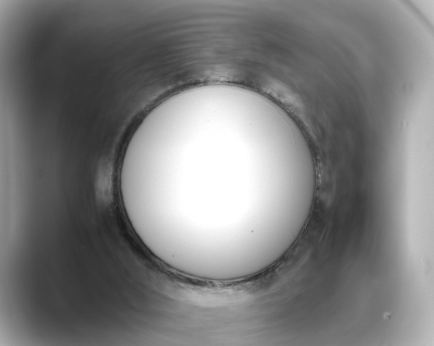 X0000089400012200706221125