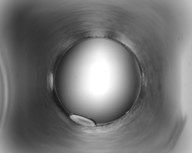 X0000089400013200706221125