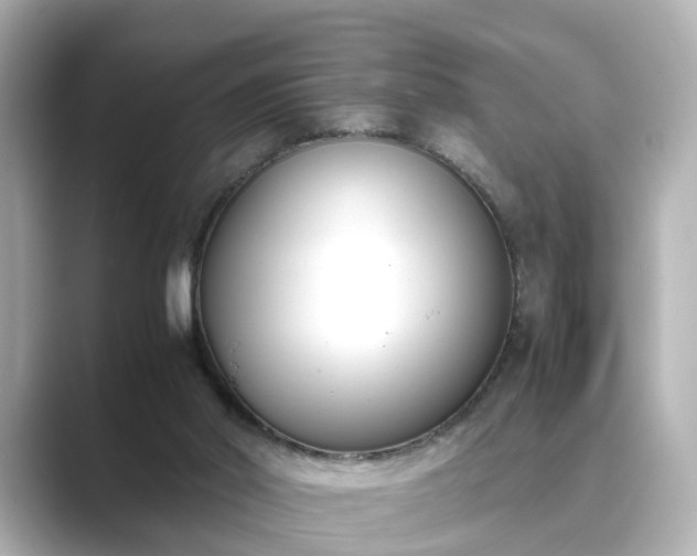 X0000089400014200706221125