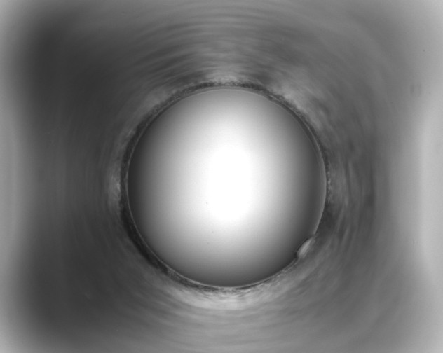 X0000089400015200706221125