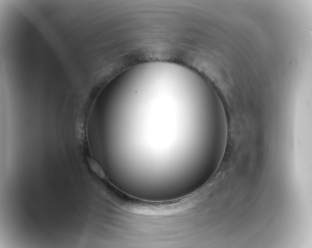 X0000089400017200706221125