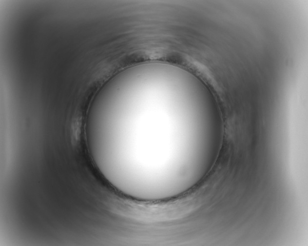 X0000089400018200706221125