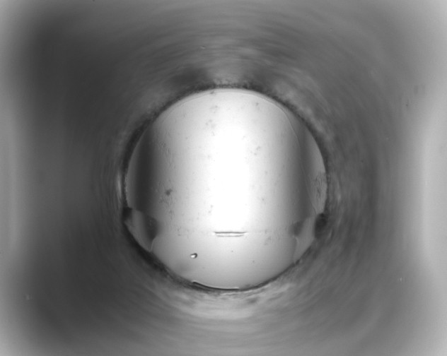 X0000089400019200706221125